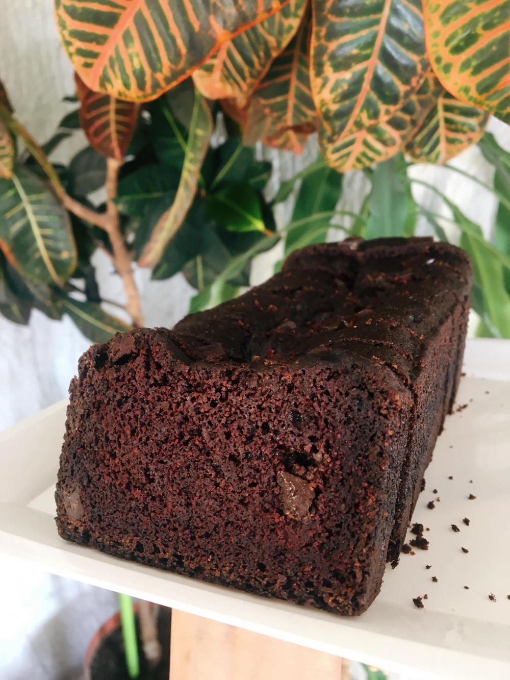 83401061_152407569512178_1783480728667815936_n